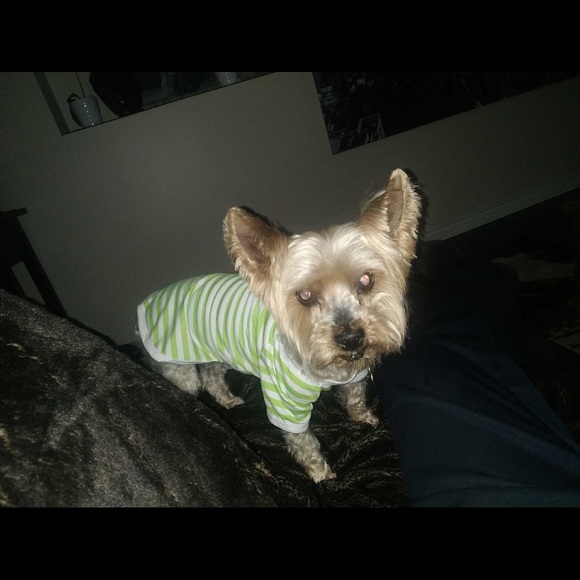 Meet your Posher, Maria - Picture 1 of 1